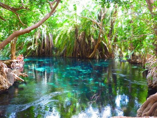Chemka (Kikuletwa) Hot Springs Day Trip