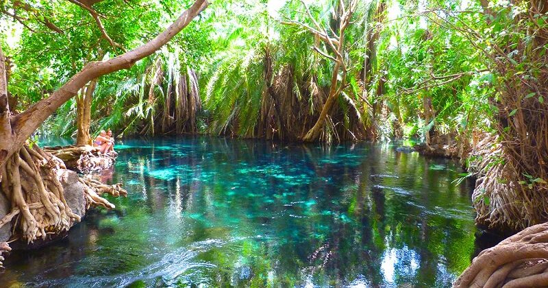 Chemka (Kikuletwa) Hot Springs Day Trip