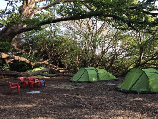 Chemka (Kikuletwa) Hot Springs Day Trip