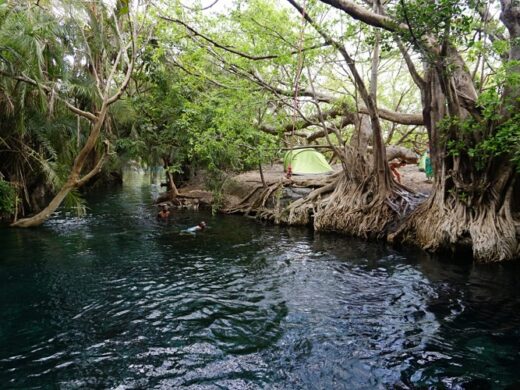 Chemka (Kikuletwa) Hot Springs Day Trip