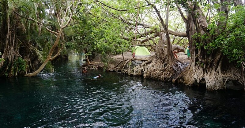 Chemka (Kikuletwa) Hot Springs Day Trip