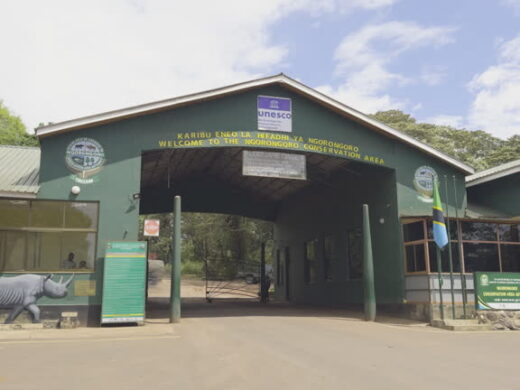 Ngorongoro Crater 1 Day Trip