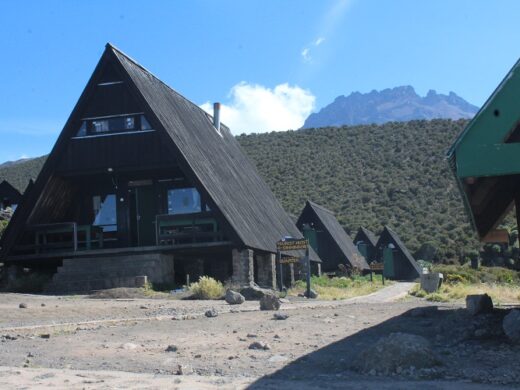 Kilimanjaro Day Hike via Marangu Route