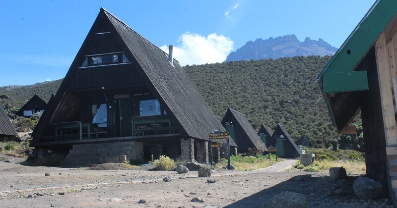 Kilimanjaro Day Hike via Marangu Route