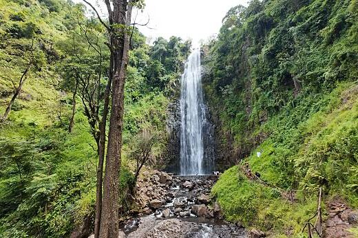 Materuni Waterfalls & Coffee Tour