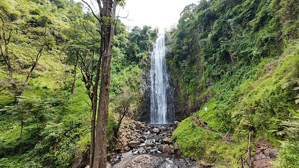 Materuni Waterfalls & Coffee Tour