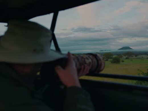 Tarangire National Park 1 Day Trip