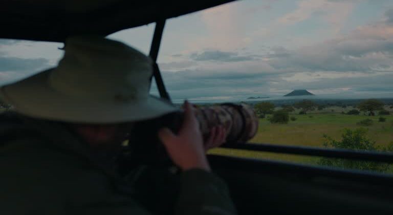 Tarangire National Park 1 Day Trip