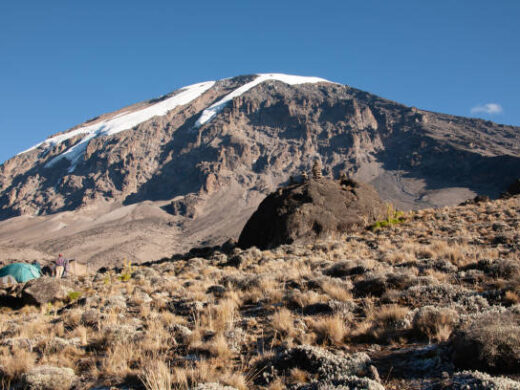 Kilimanjaro Day Hike via Marangu Route
