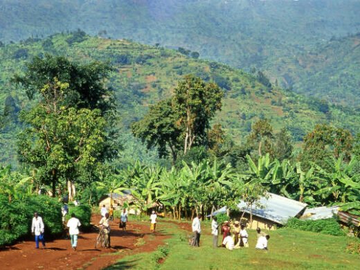 villagers-go-on-the-market-in-bugitimwa-village-uganda-africa
