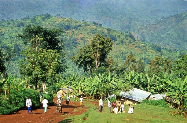 villagers-go-on-the-market-in-bugitimwa-village-uganda-africa