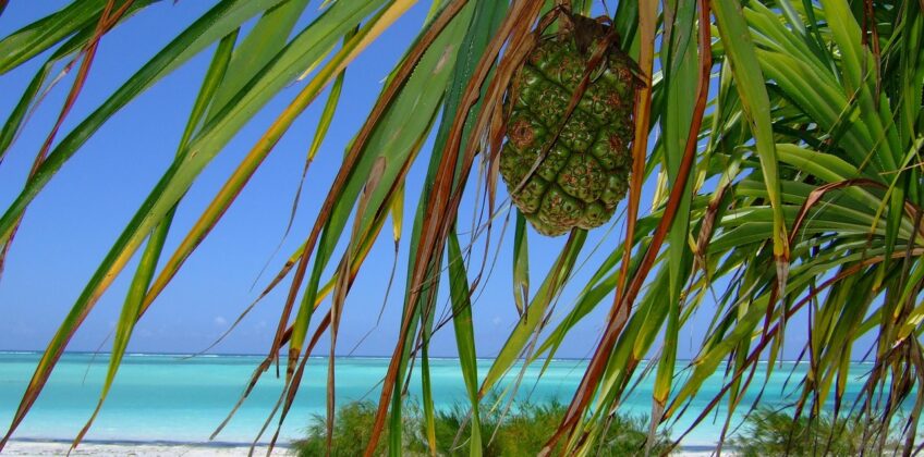 4 Days Zanzibar Beach Holiday Itinerary