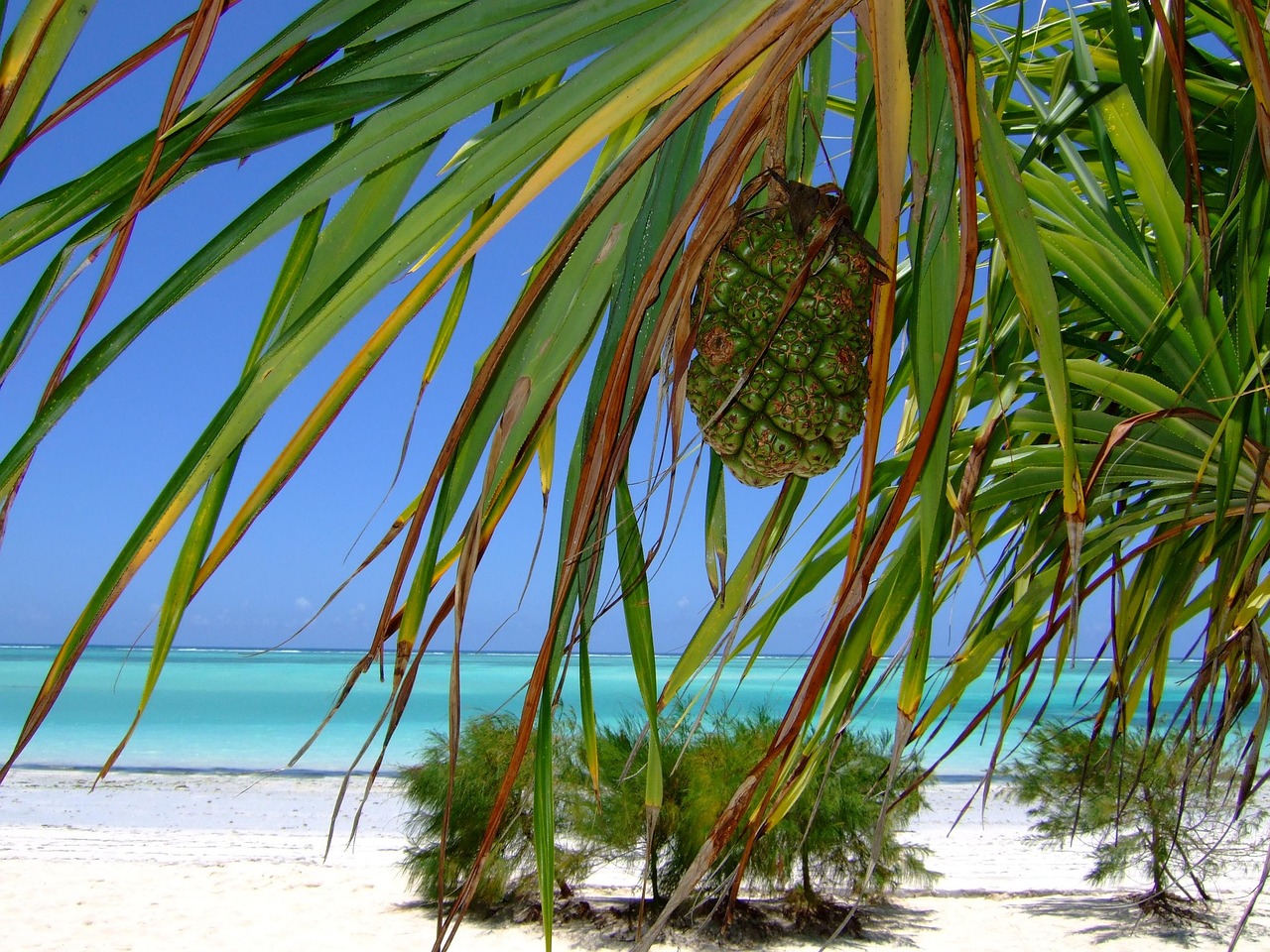Book 4 Days Zanzibar Beach Holiday