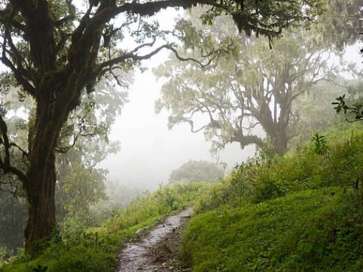 4 Days Mount Meru Trek Itinerary