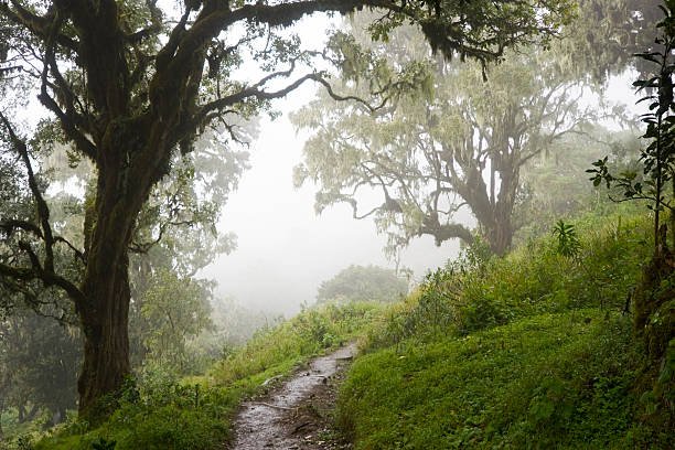4 Days Mount Meru Trek Itinerary